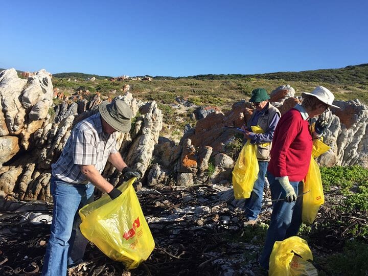 BirdLife Overberg Coastal Cleanup