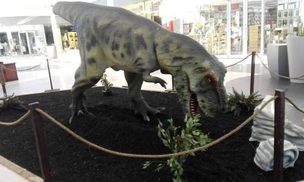 Dinos Alive Exhibit in Hermanus