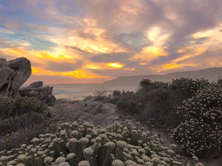 This evenings cover was shared by Thinus Liebenberg, an amazing photo he took of